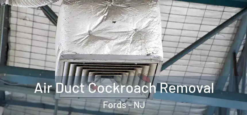  Air Duct Cockroach Removal Fords - NJ