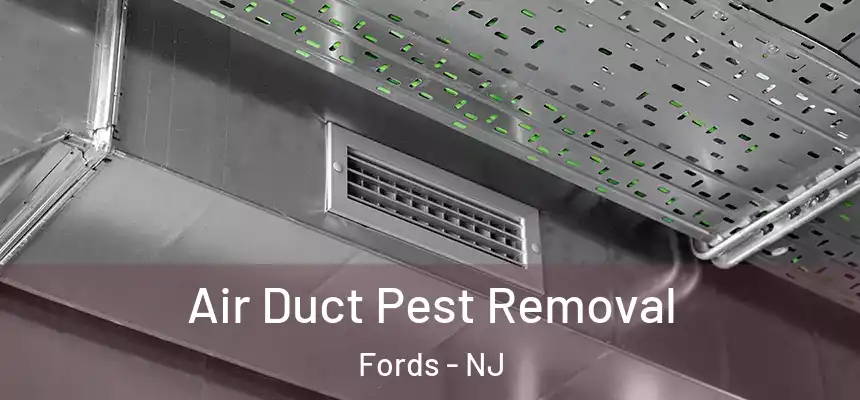  Air Duct Pest Removal Fords - NJ