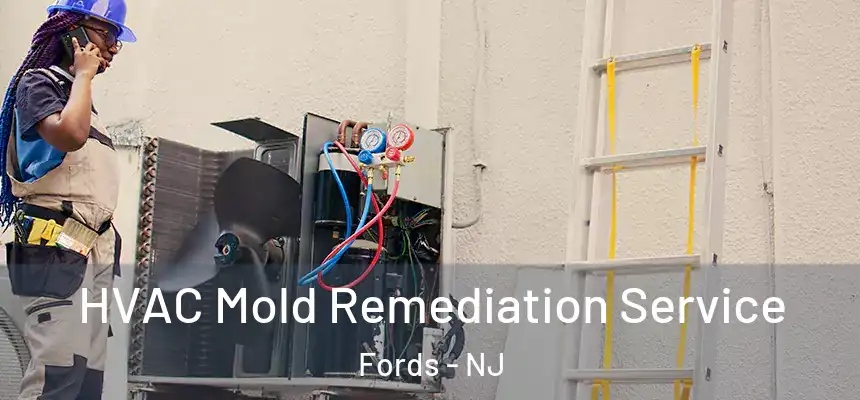  HVAC Mold Remediation Service Fords - NJ