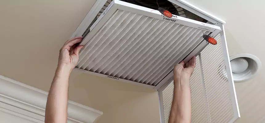 Preventive Cockroach-Proofing for Ducts in Fords