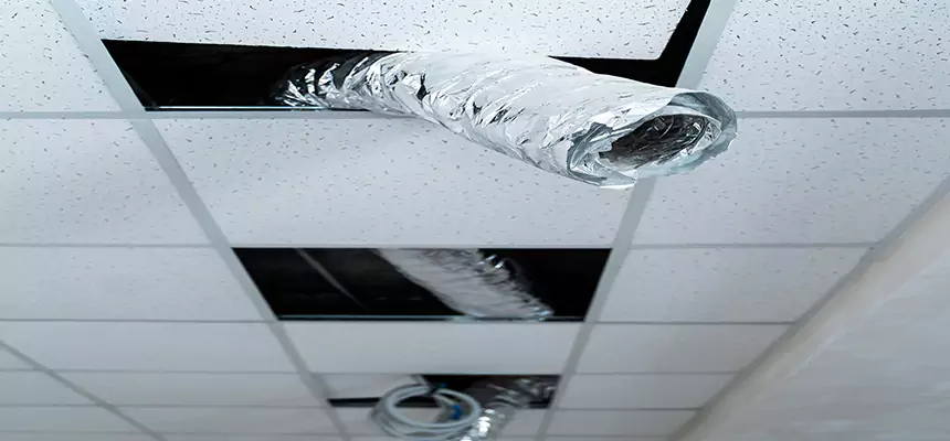 Our Air Duct Pet Hair Removal Services in Fords, NJ