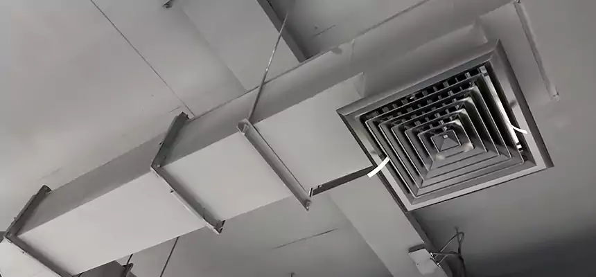 Our Rodent Droppings In Vents Services in Fords, NJ