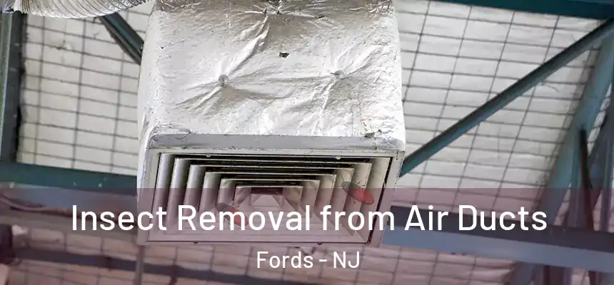  Insect Removal from Air Ducts Fords - NJ