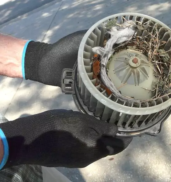 About Air Duct Mice Removal in Fords, NJ