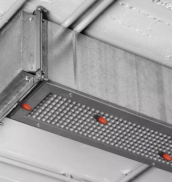 Affordable Insect Removal from Air Ducts in Fords, NJ