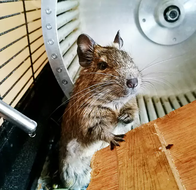 Why Homeowners & Businesses Trust Us Fords, NJ?